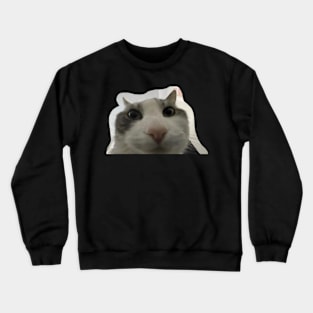 cat looks inside Crewneck Sweatshirt